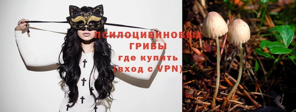 мяу мяу кристалл Алексин
