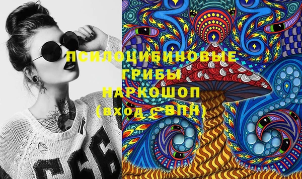 гашик Покровск