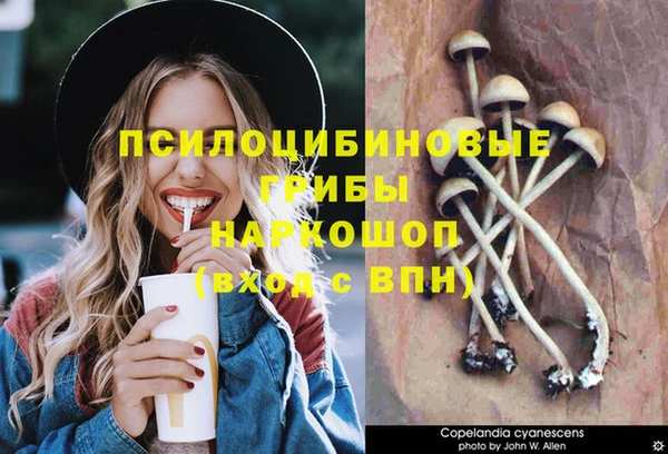 гидра Абдулино